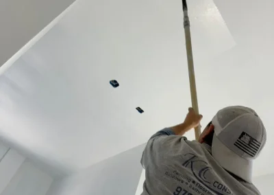Professional-Painting-Service